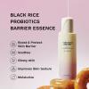 haruharu Wonder Skin Barrier Strengthening Duo, Black Rice Probiotics Barrier Essence & 5 Ceramide Moisturizing Cream
