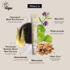 haruharu wonder Vegan Well-Aging Collection, Korean Skincare Set, Holiday Gift Set, Suitable for All Skin Types