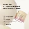 HARUHARU wonder 5 Ceramide Barrier Moisturizing Cream & Night Knight Retinol Serum Set